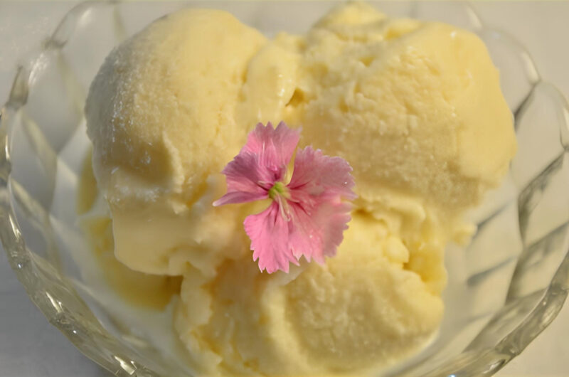 SORVETE DE COCO | Resultado CREMOSO e CHEIO DE SABOR